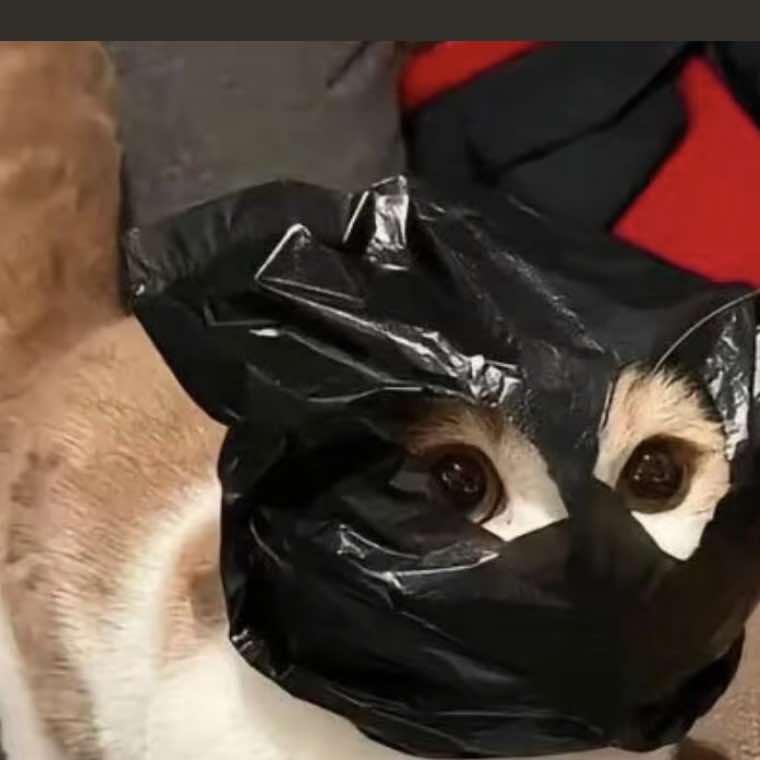 清妍轻奢休闲养生馆