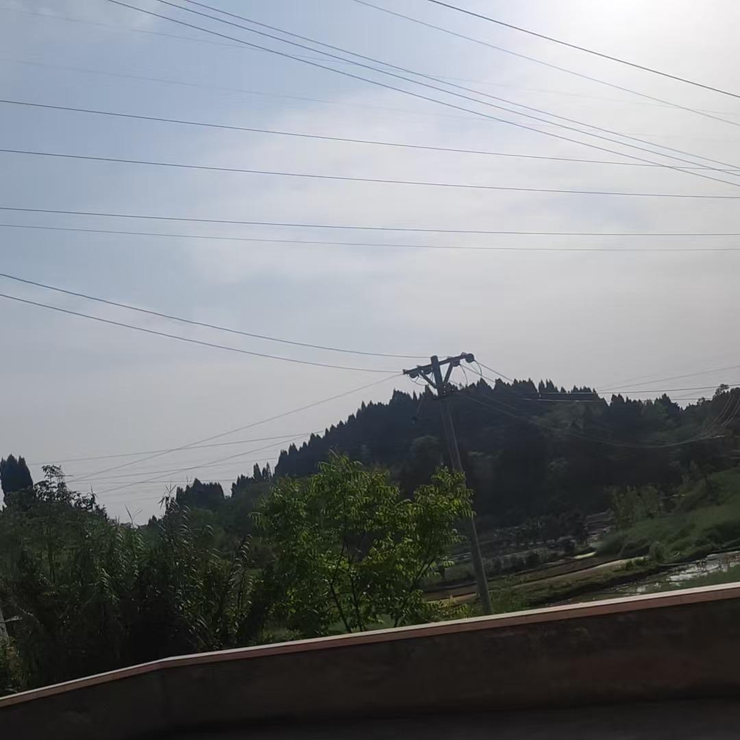 ZUNVO看哪那么快直播号