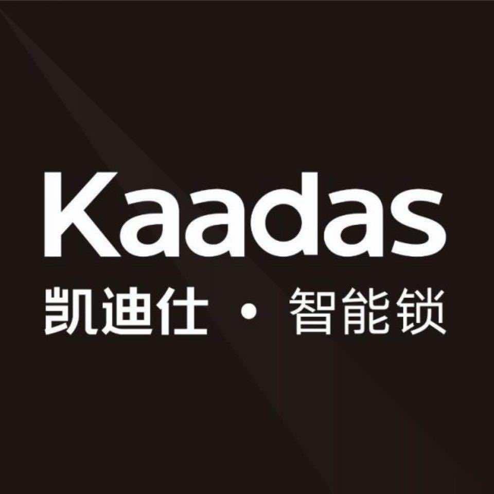 潢川凯迪仕智能锁
