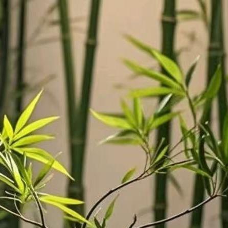 祥辉直播号