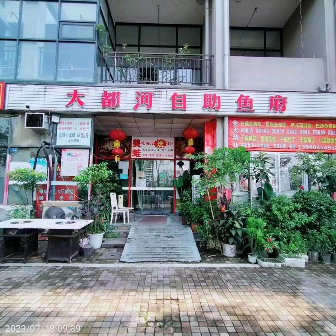 心愿花园大都河美蛙鱼
