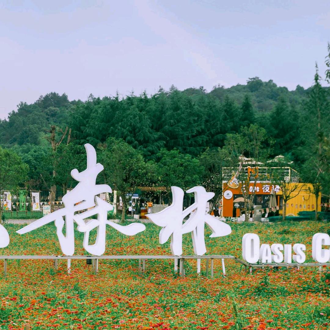 Oasis·小森林露营咖啡