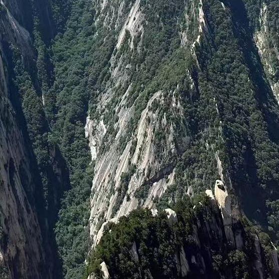 尊世情怀奚彦运输c直播号