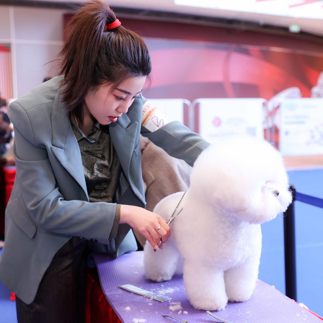 老友狗狗宠物店