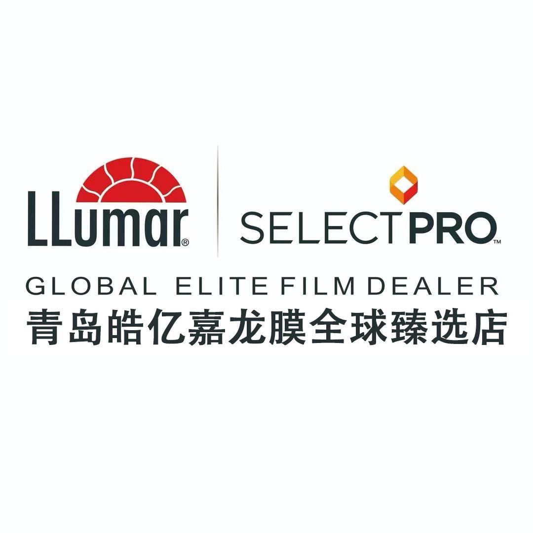 汽车贴膜龙膜臻选店