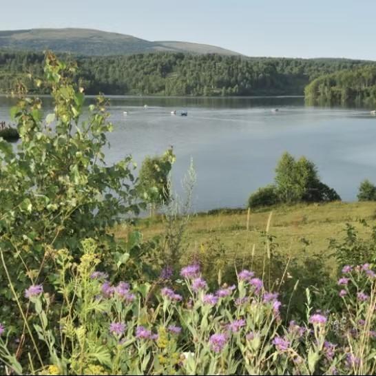 盛泽水上农家乐饭店官方号