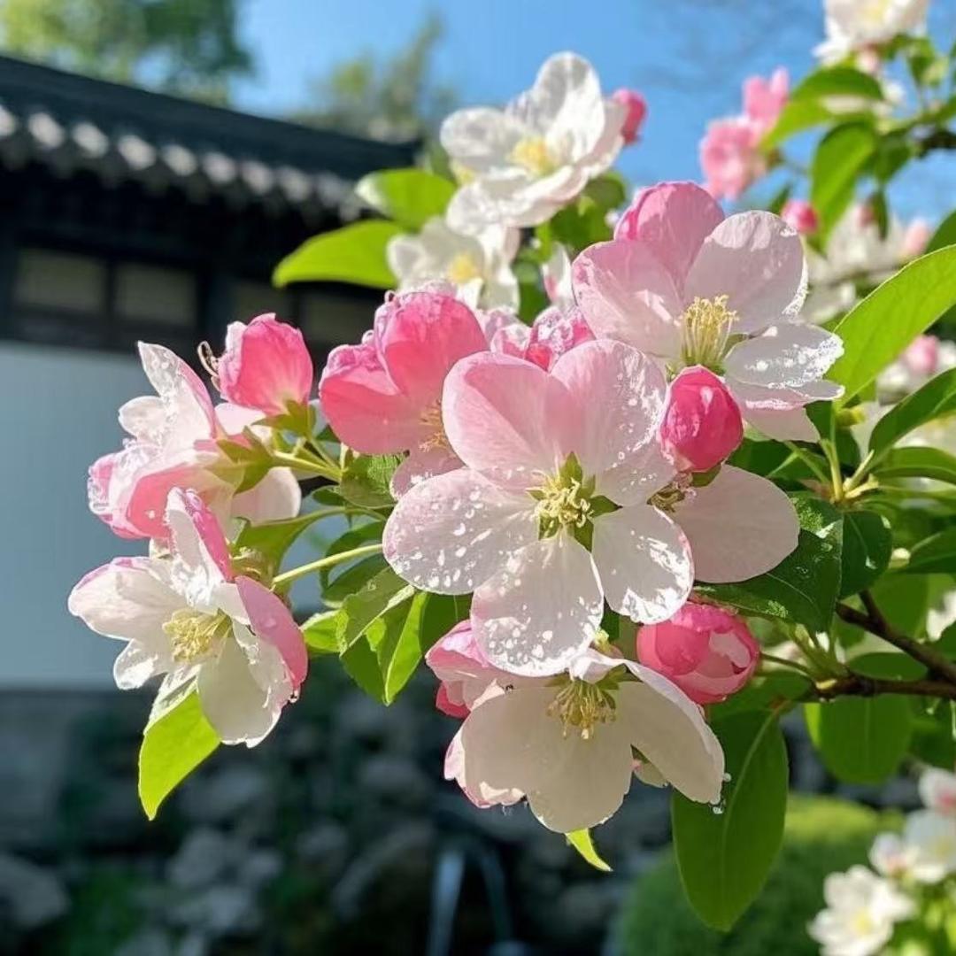 榕兴陆直播2323号