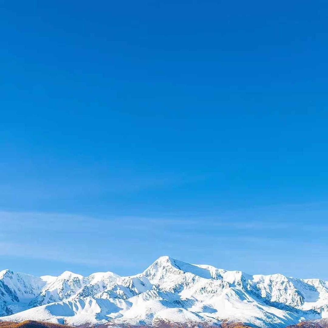 广州酋庆TA直播号