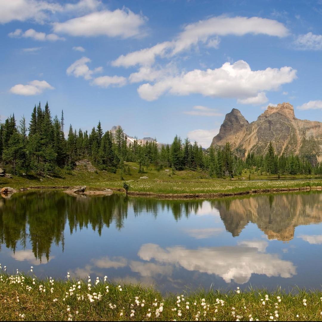 春燕   江清月 -宠粉号