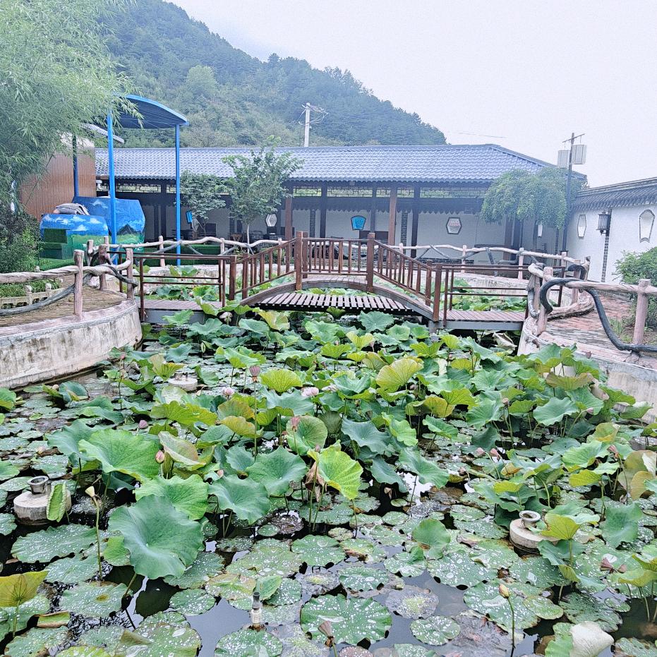 陇山堂生态庄园农场官方号