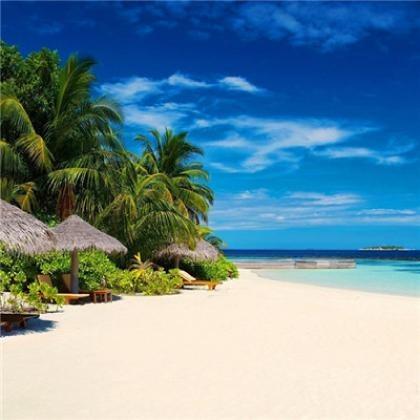 顺势而为-耀鹏溪