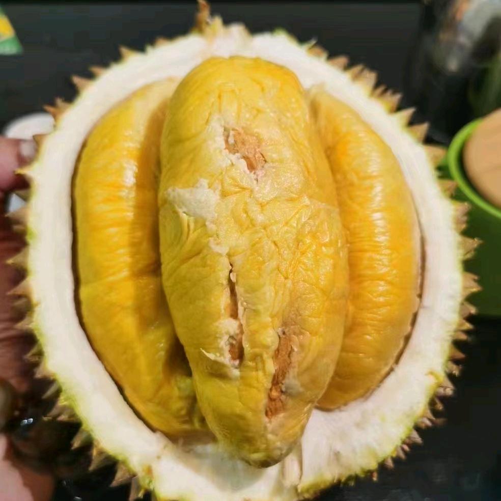 深圳市艺果贸易有限公司