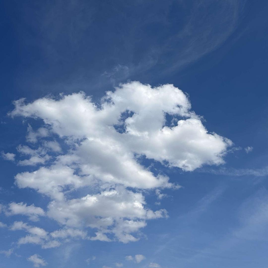 蓉儿主题养生官方号