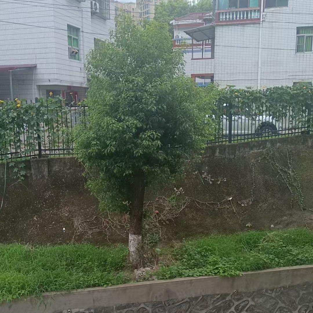 姝兑百货号