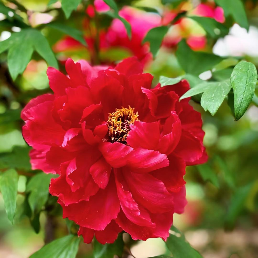 尔友五金生活号