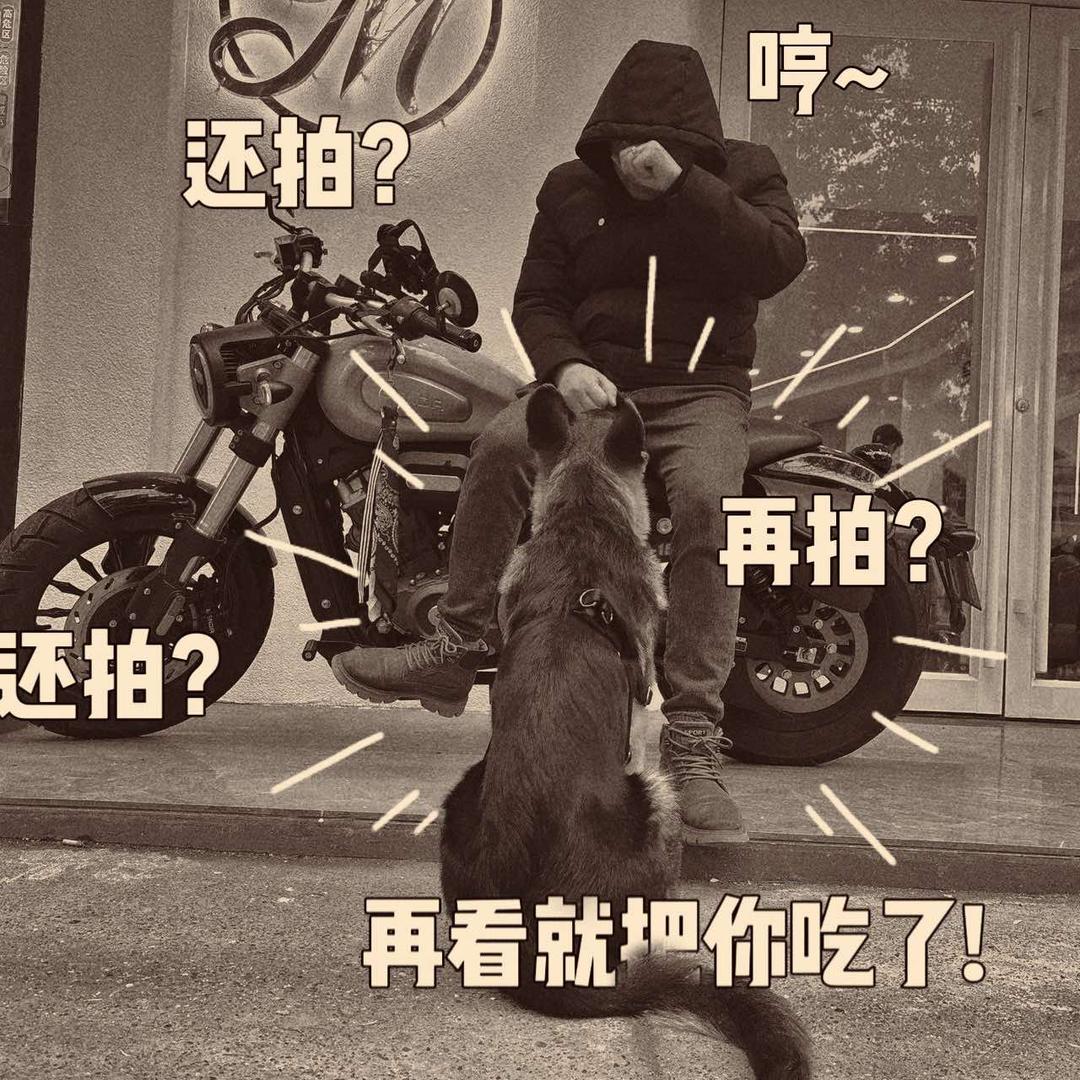 武陵区爱逗宠物店