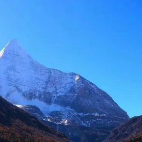 国平门窗(安泰居南区店)菲菲5直播号