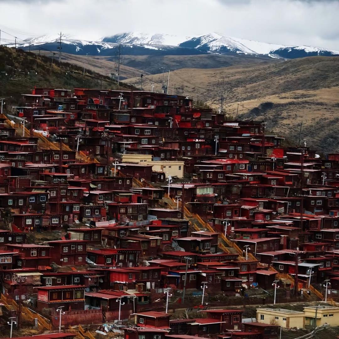 石秋芬金金甄选号