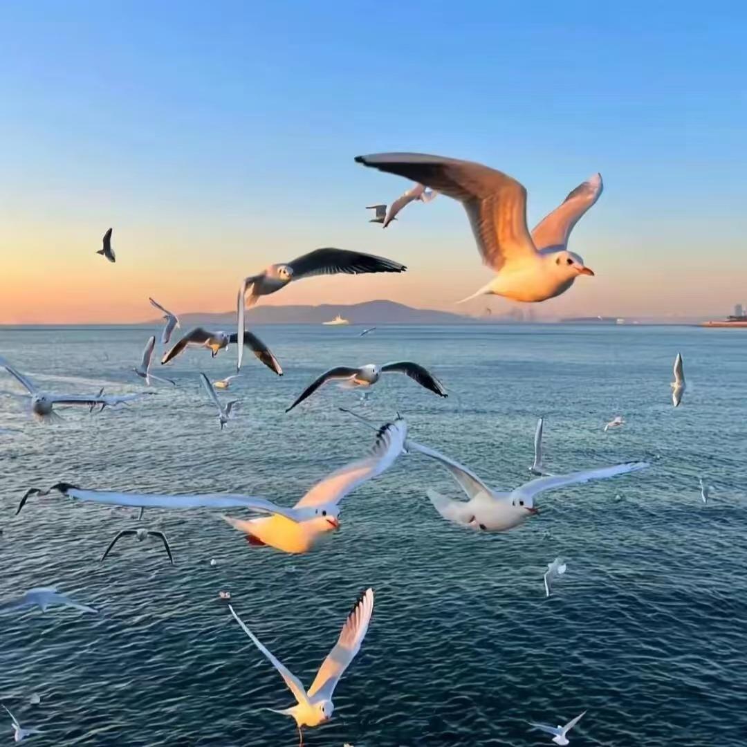 追梦广州鸿科同汽车服务有限责任公司