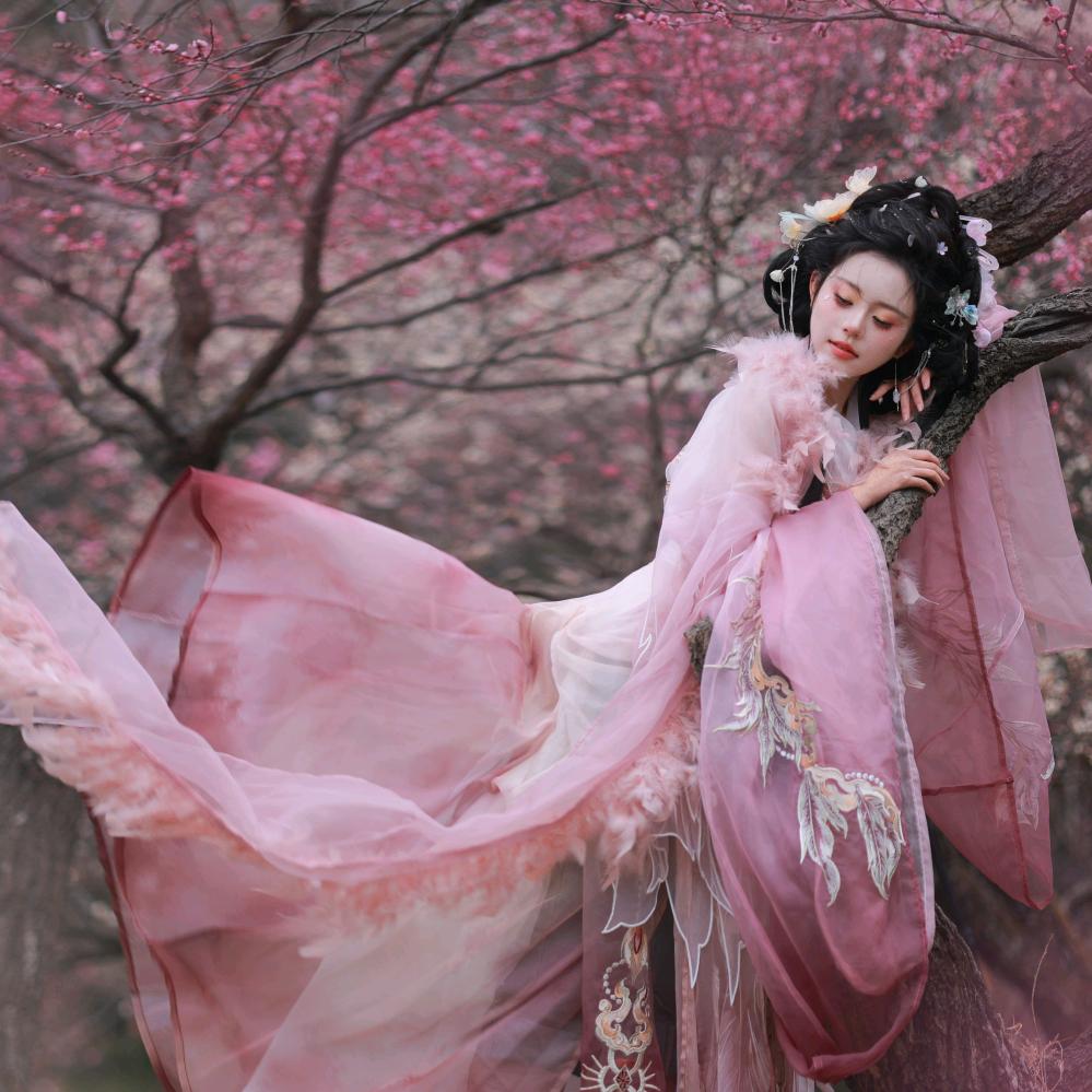 听羽国风汉服工作室