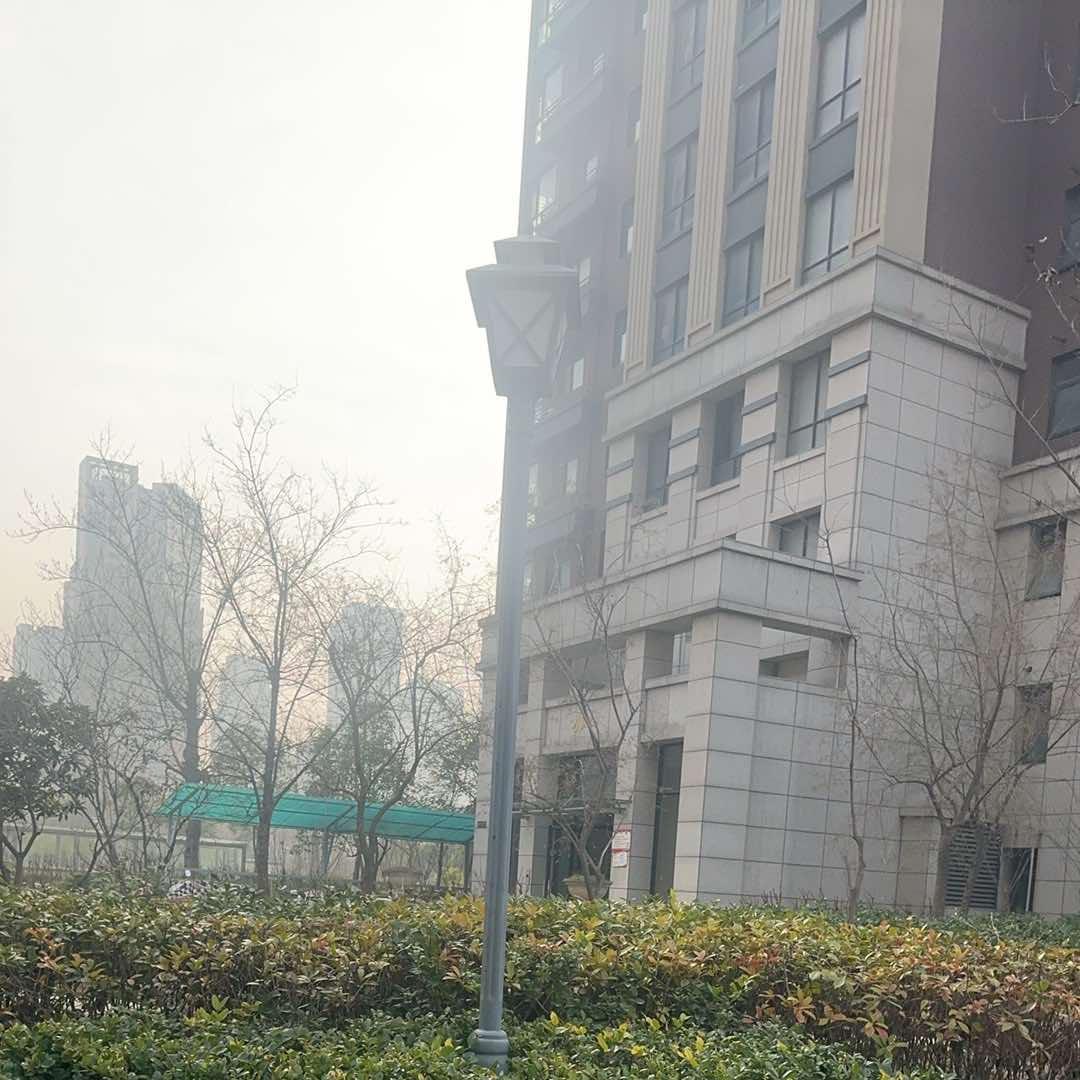 高峰直播号