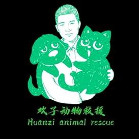 欢子动物救援