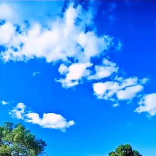 北京昱汇体育垂直号