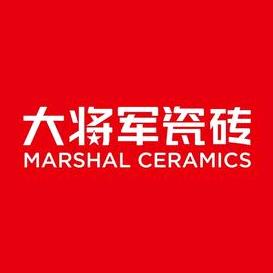 大将军瓷砖商城丽姐