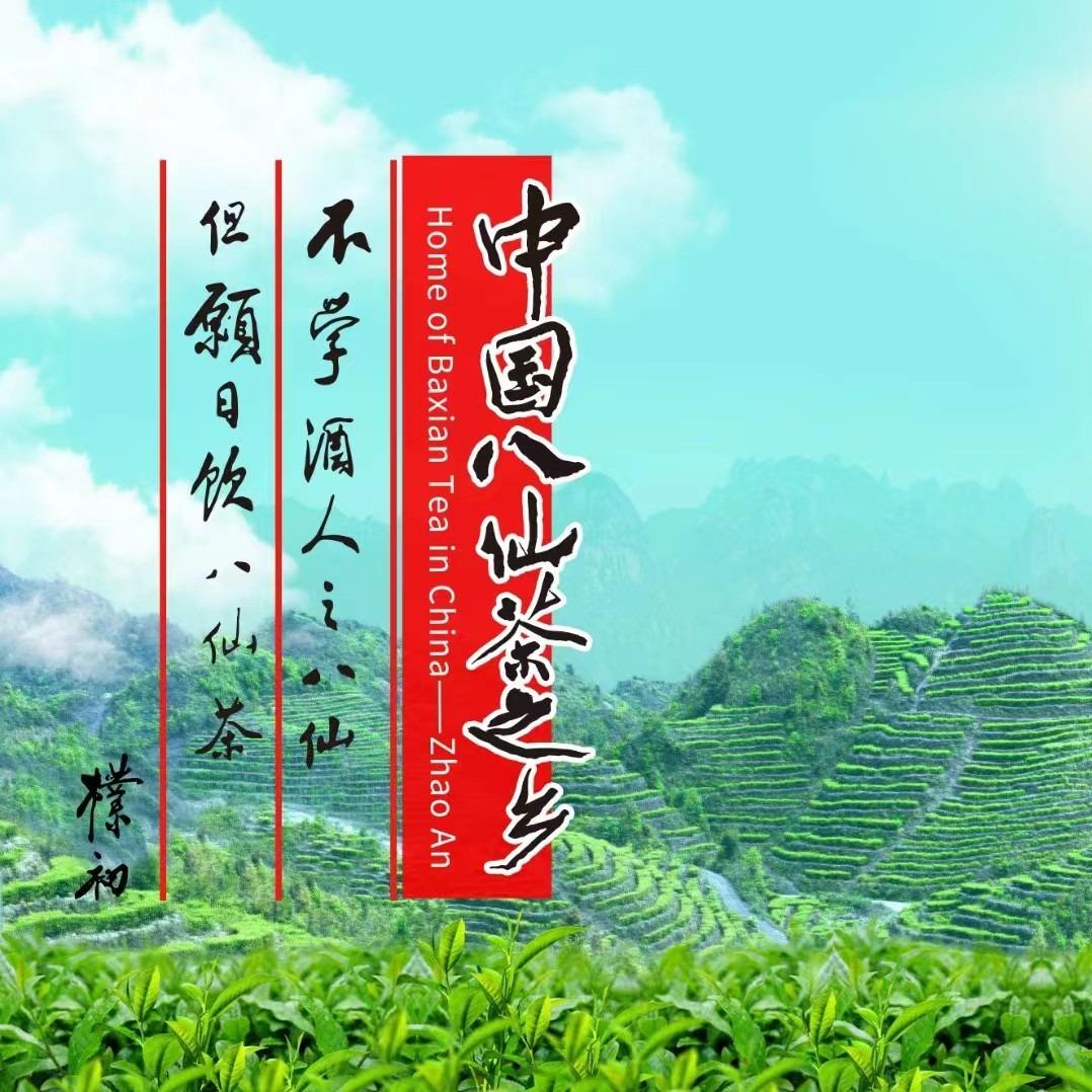 诏安八仙茶体验馆(康华路店)