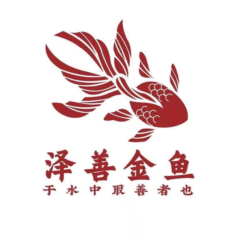 （小林）泽善观赏鱼团队