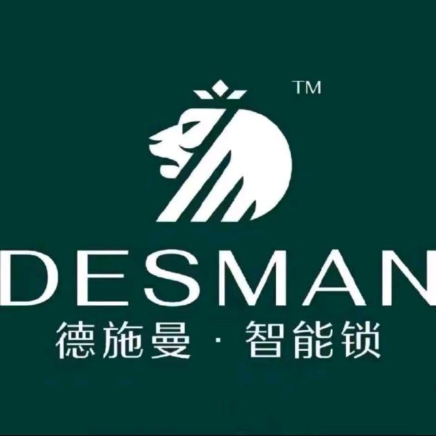 德施曼·智能锁(西平大道店)