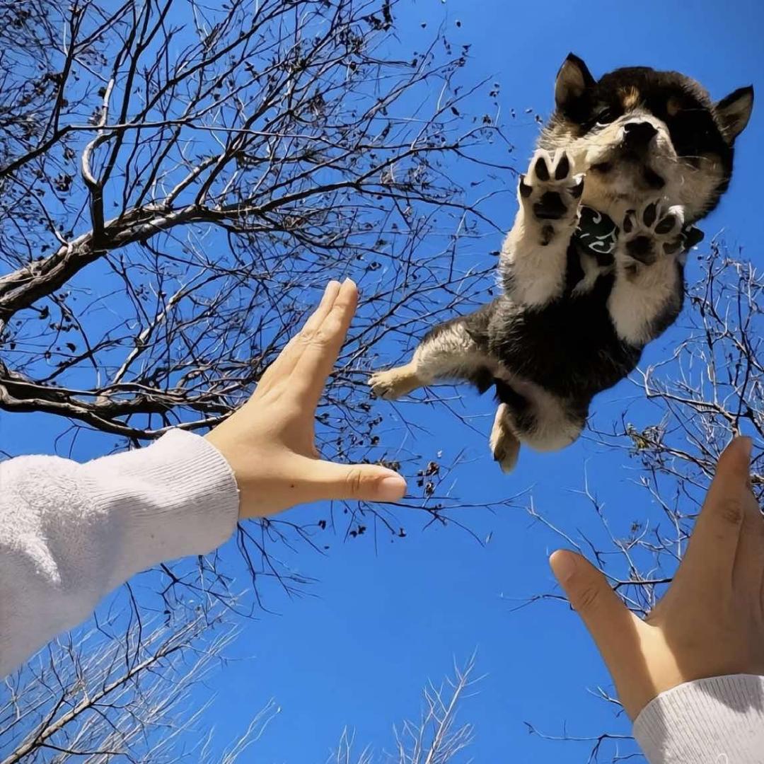 麦达体育（小郭只打养生球）