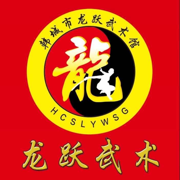 韩城市龙跃武术馆官方号