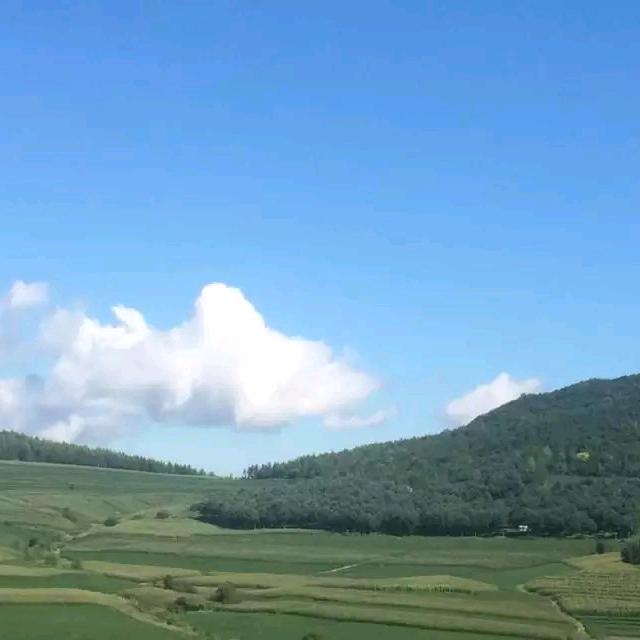 泰玉生鲜店