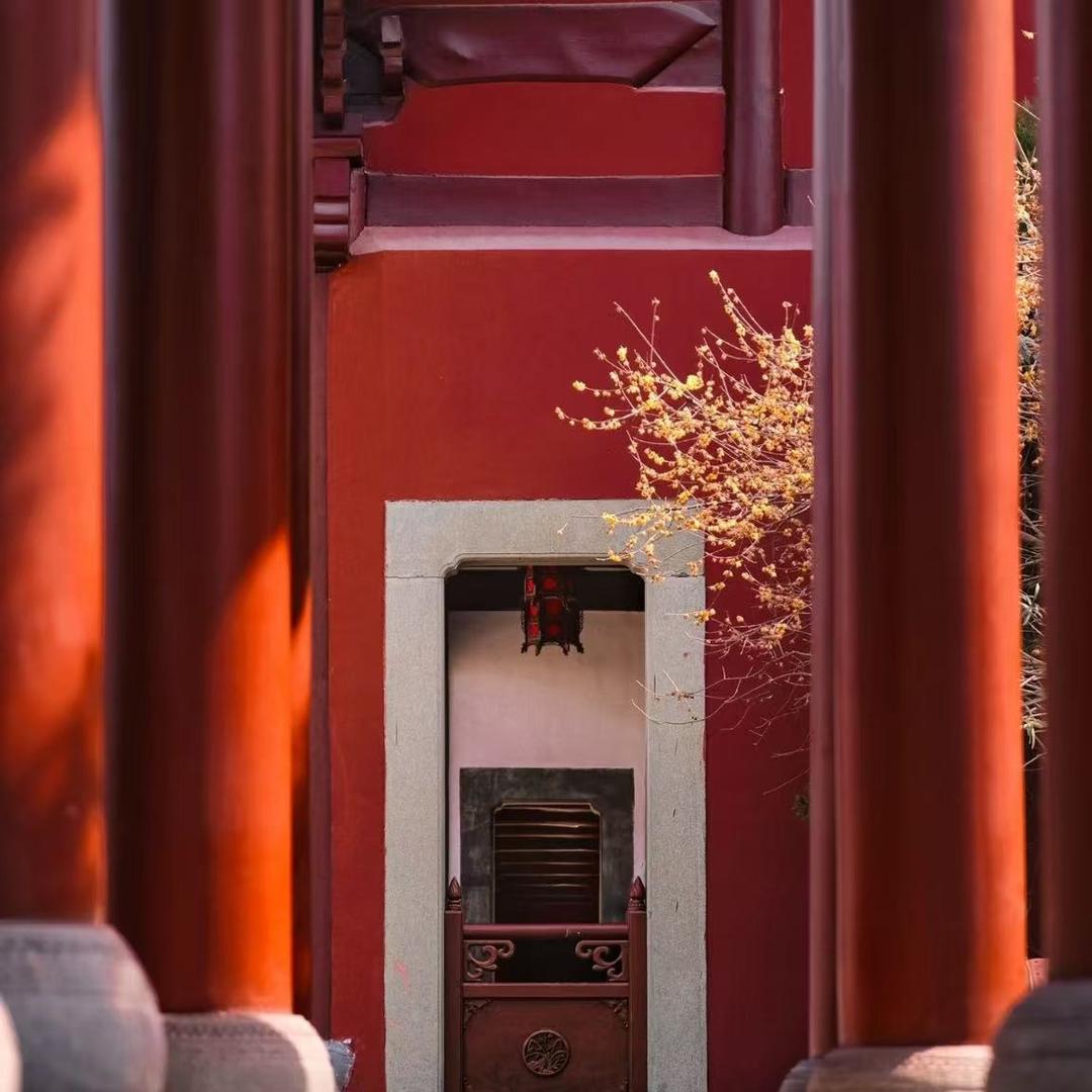 智慧人生.尚熙