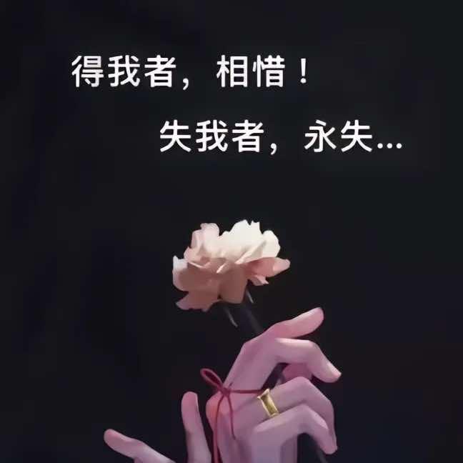 鹰飞翔（佰航乔氏台球）