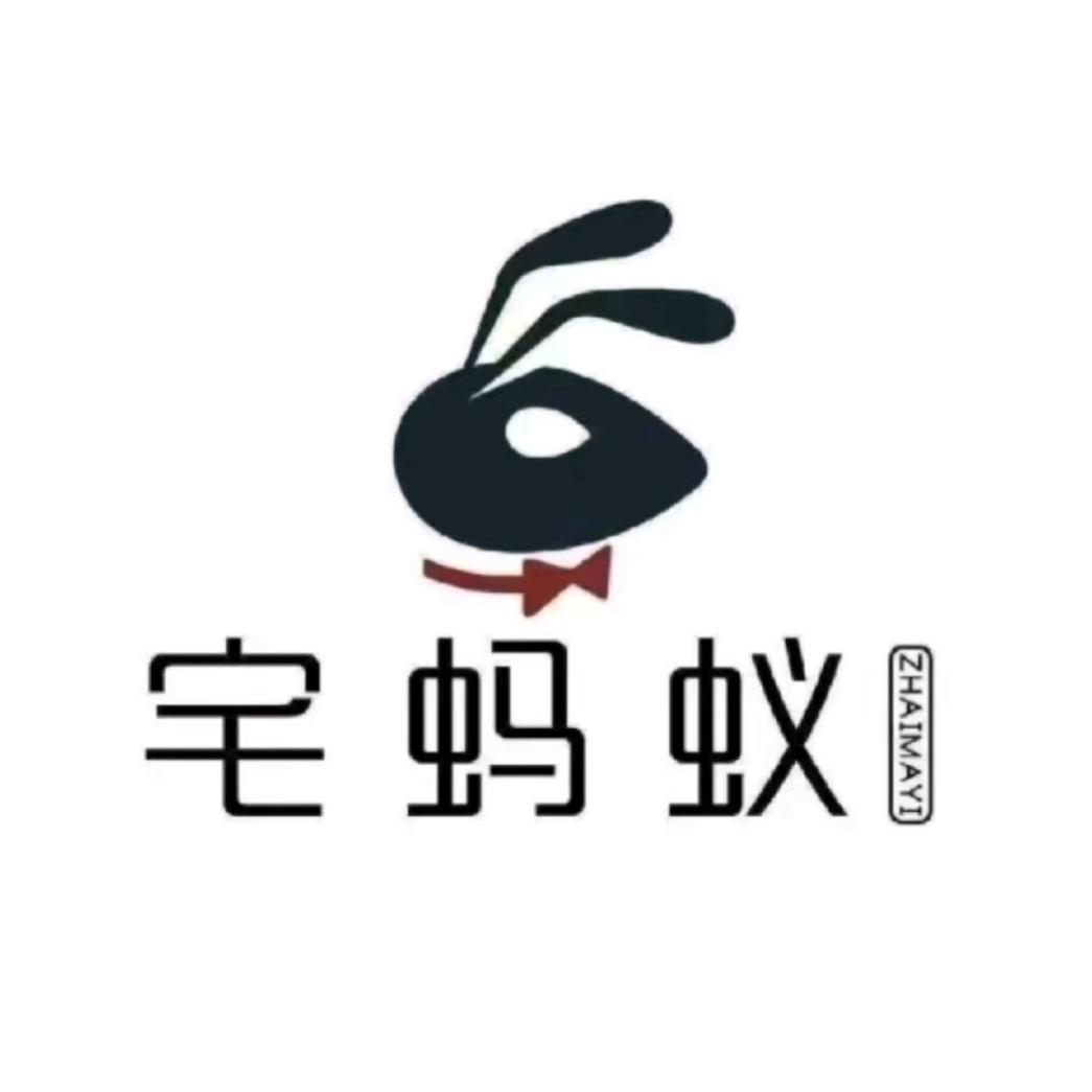 济南简装-宅蚂蚁装饰