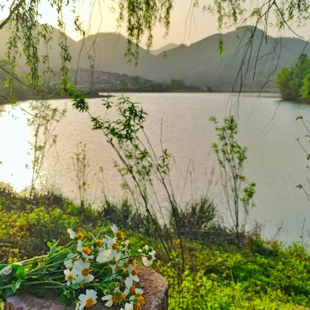 鼓鸣寨度假景区官方账号