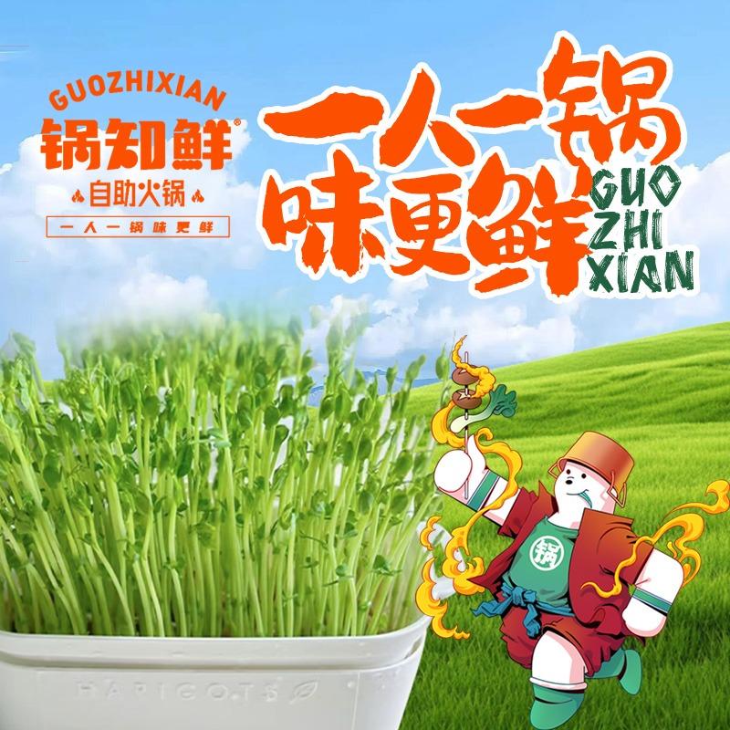 锅知鲜自助火锅