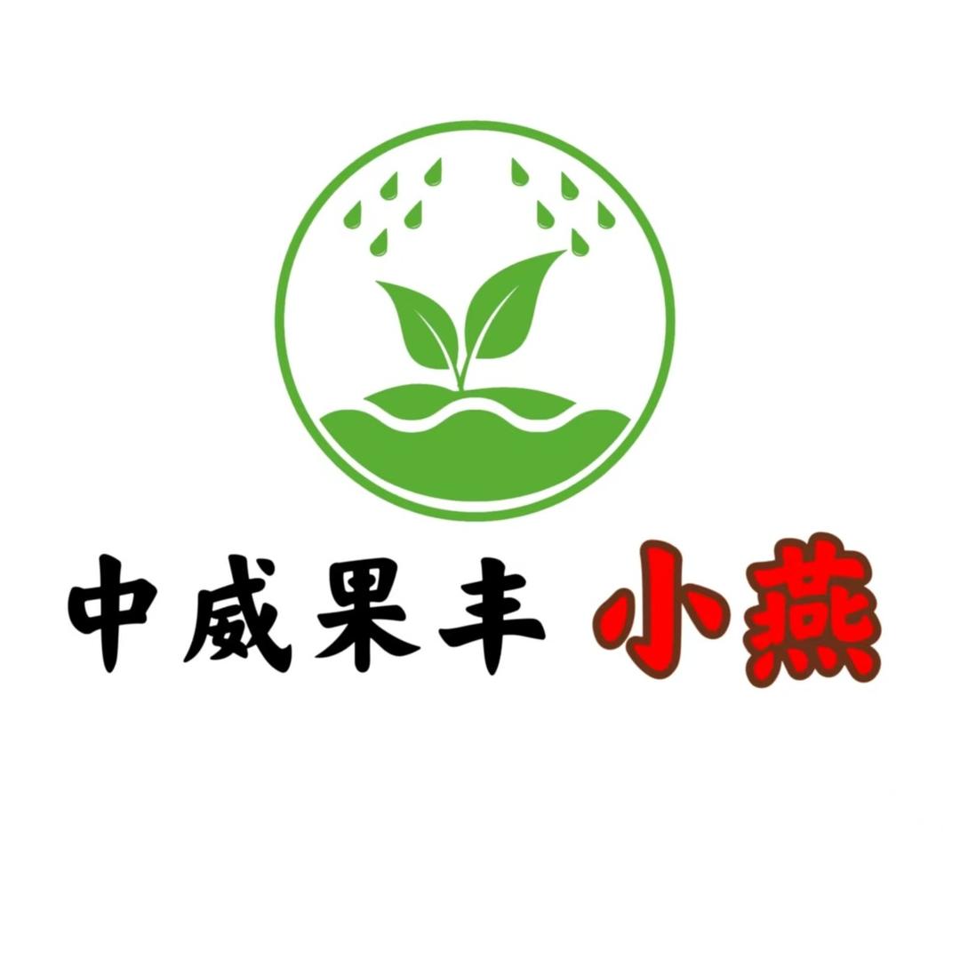 中威果丰 小燕