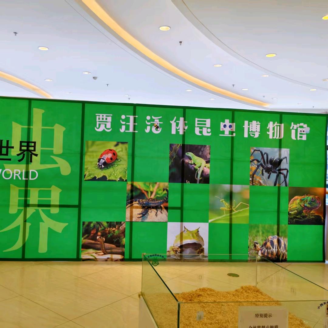 贾汪活体昆虫博物馆官方号