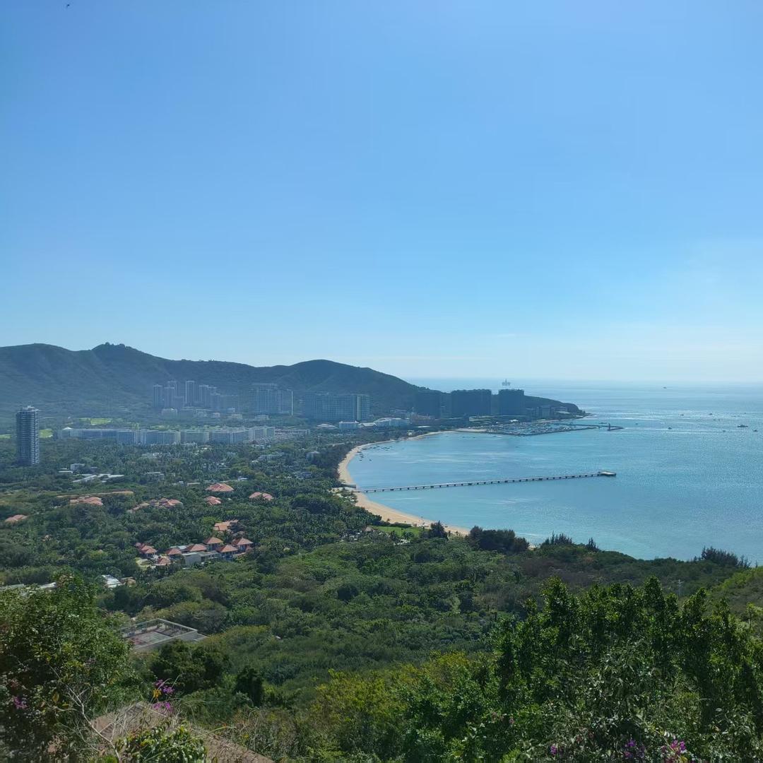 胖虎好物直播号