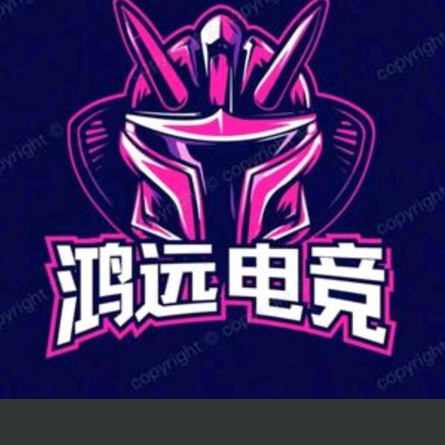 鸿远电竞
