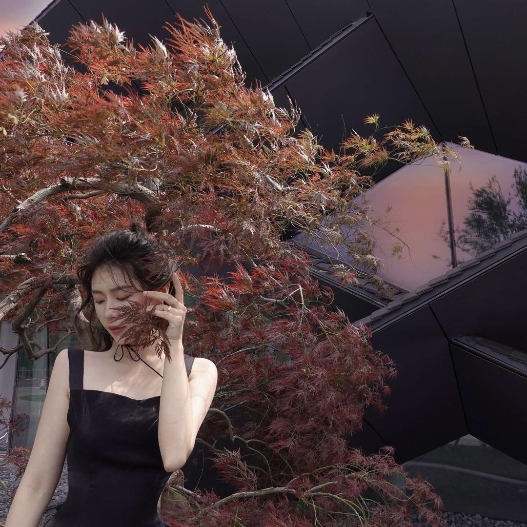 宁波小猴叽