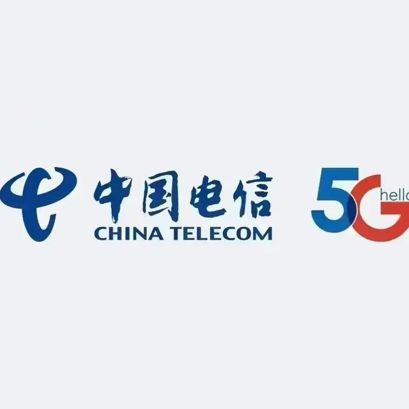 崇左电信大新营业厅