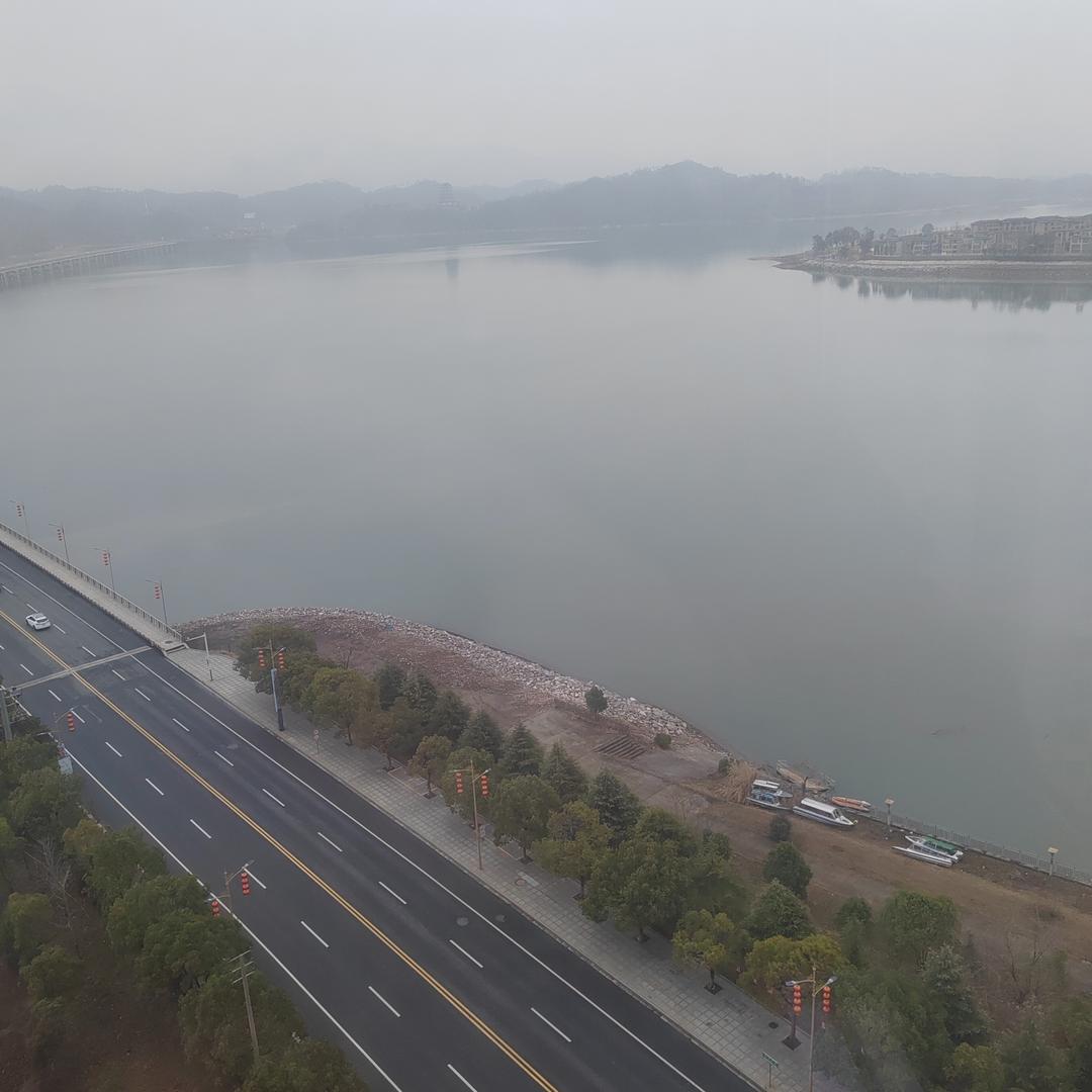 钵钵直播号