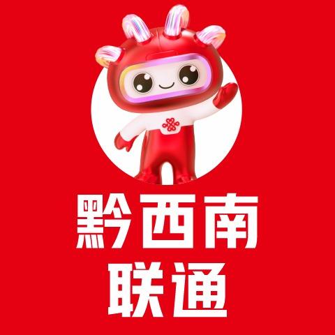 黔西南联通