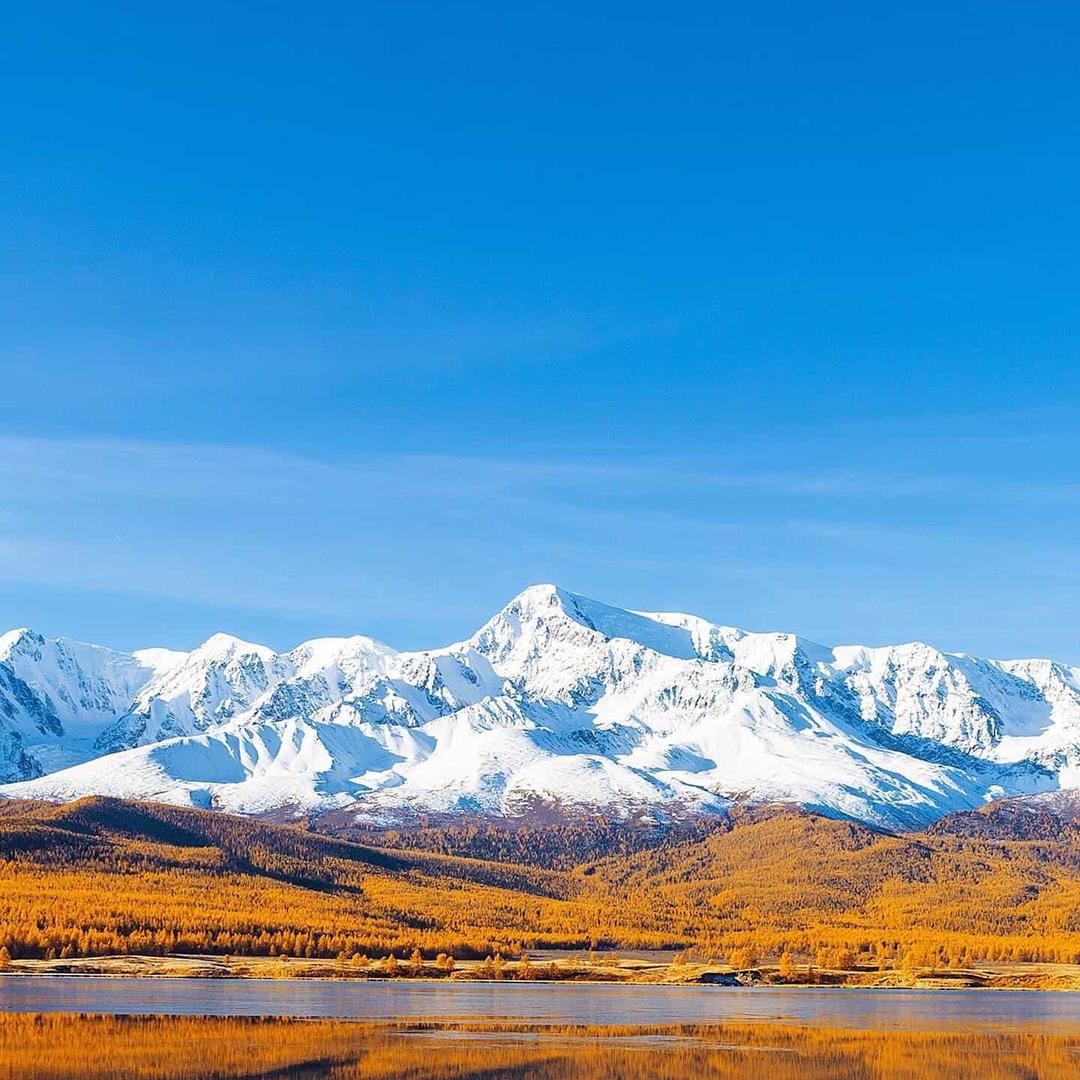 广州市天河区锨宰长广和撖兴便利店撖兴便利店直播号