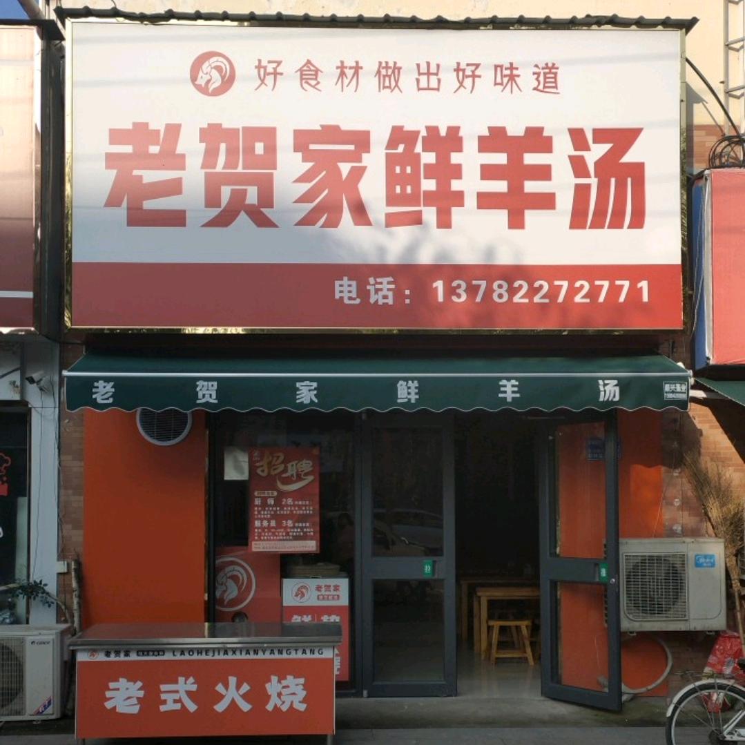 鄢陵老贺家鲜羊汤官方号
