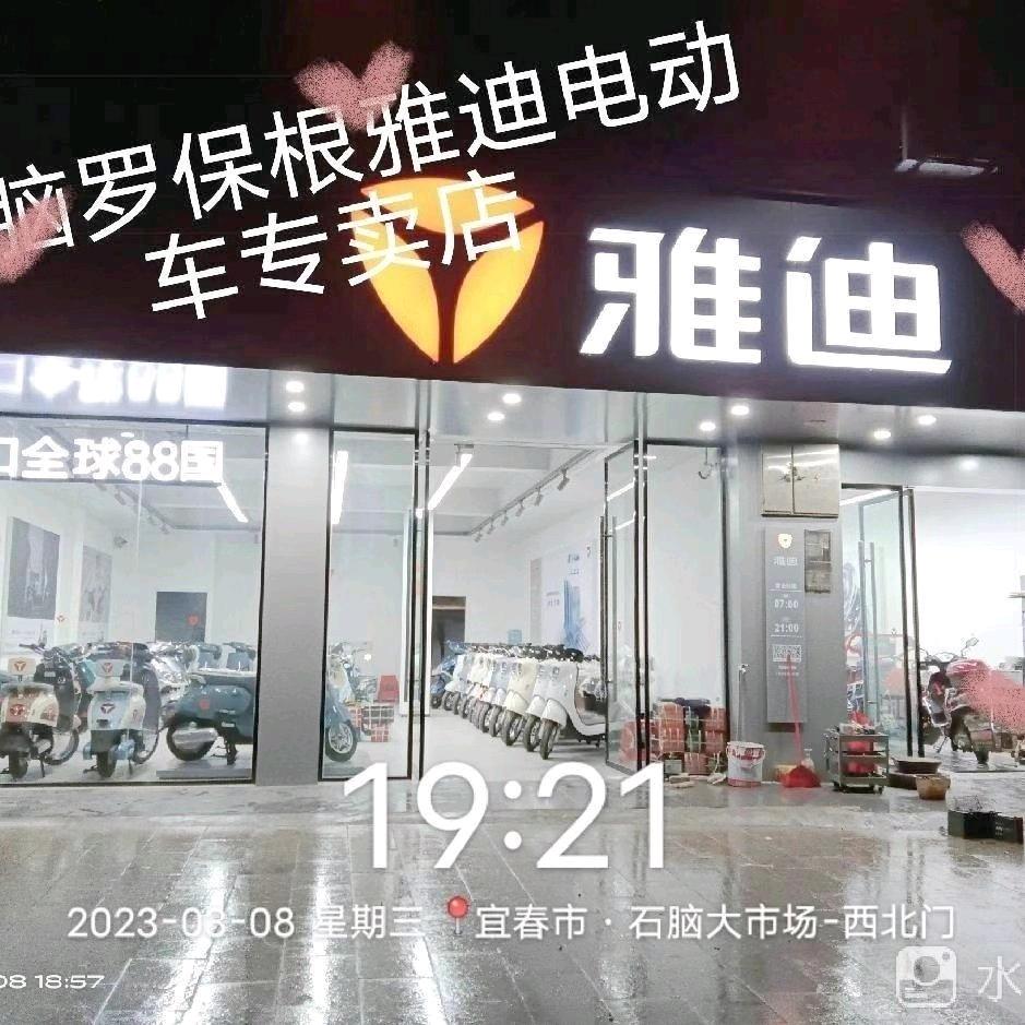 石脑罗保根车行 卖电动车的燕子
